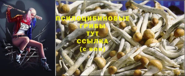 кокаин колумбия Алексеевка