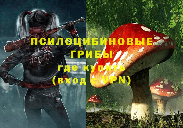 каннабис Алзамай